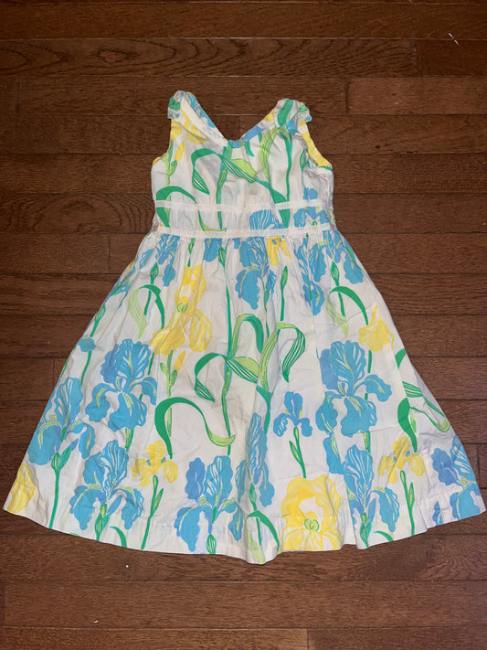 Lilly Pulitzer 4 Dress