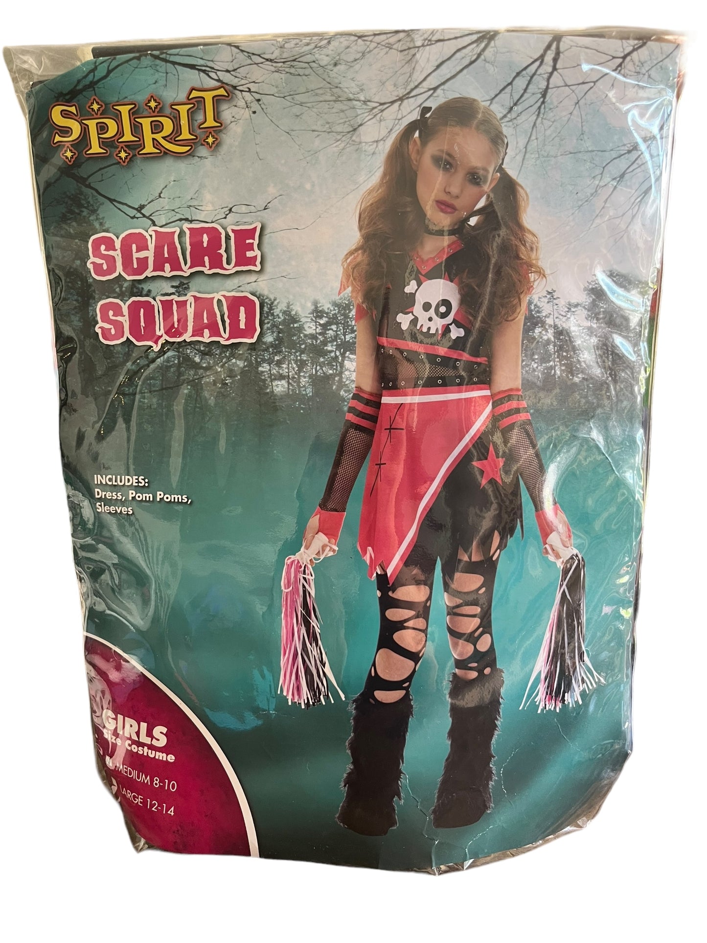 Cheerleader Zombie Costume 8/10