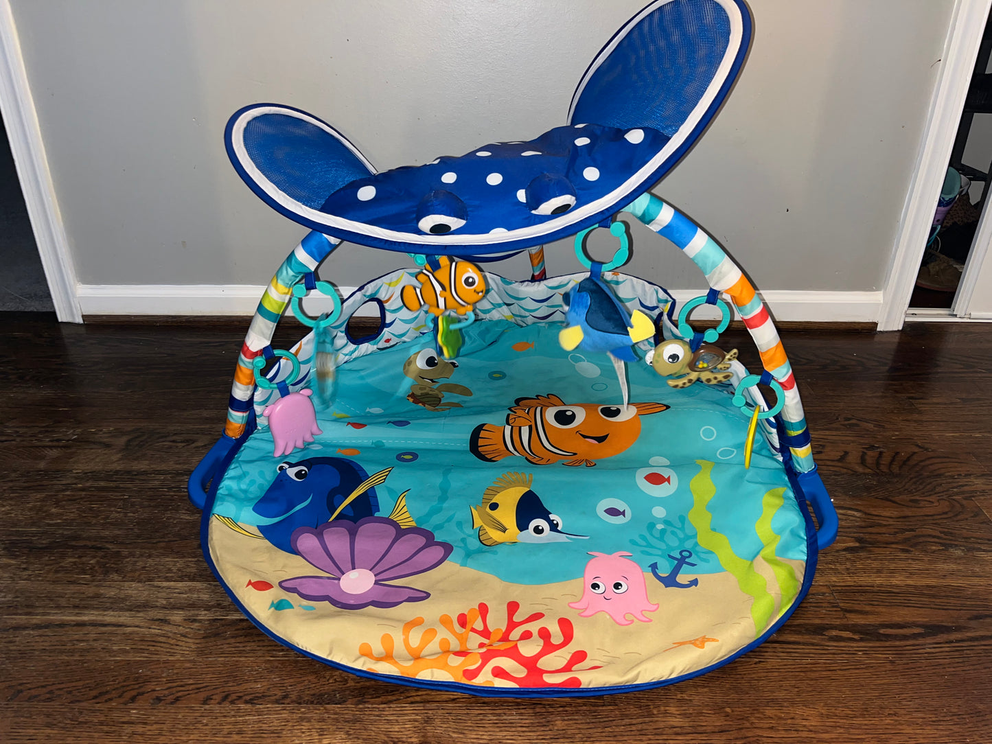 Disney Finding Nemo Play Gym